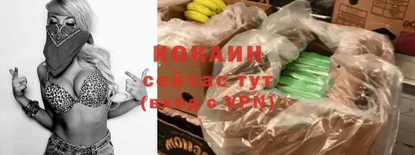 ECSTASY Белокуриха