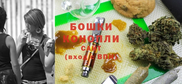 ECSTASY Белокуриха