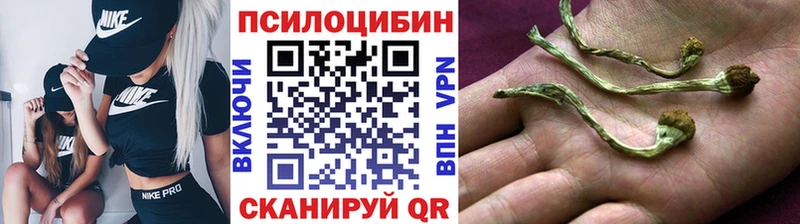 Галлюциногенные грибы Psilocybe  Норильск 